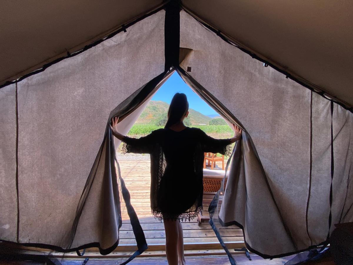 Hotel Cuatro Cuatros Ensenada Dış mekan fotoğraf