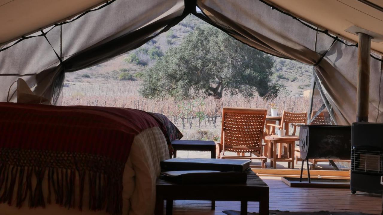 Hotel Cuatro Cuatros Ensenada Dış mekan fotoğraf