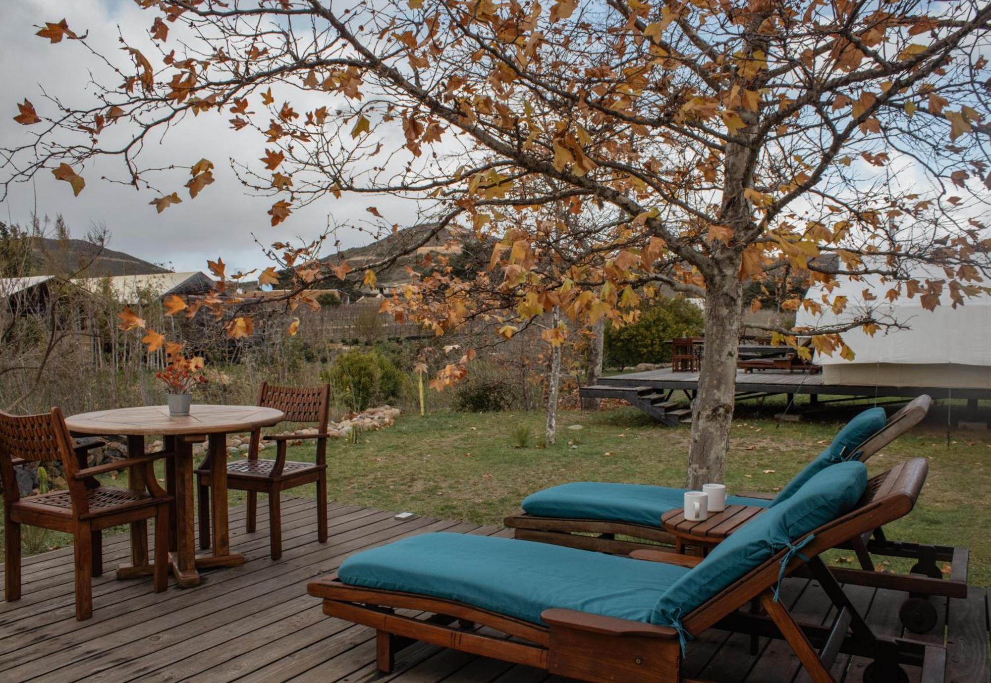 Hotel Cuatro Cuatros Ensenada Dış mekan fotoğraf